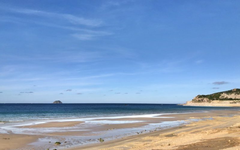 mat bien du an kn paradise cam ranh dang duoc cai tao 2